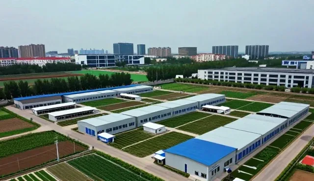 儿童口腔保健服务如何提升患者体验